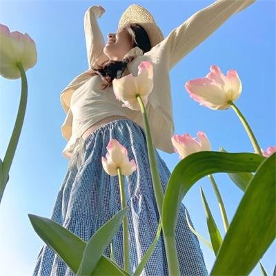 泰山宝藏